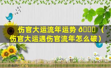 伤官大运流年运势 🐘 （伤官大运遇伤官流年怎么破）